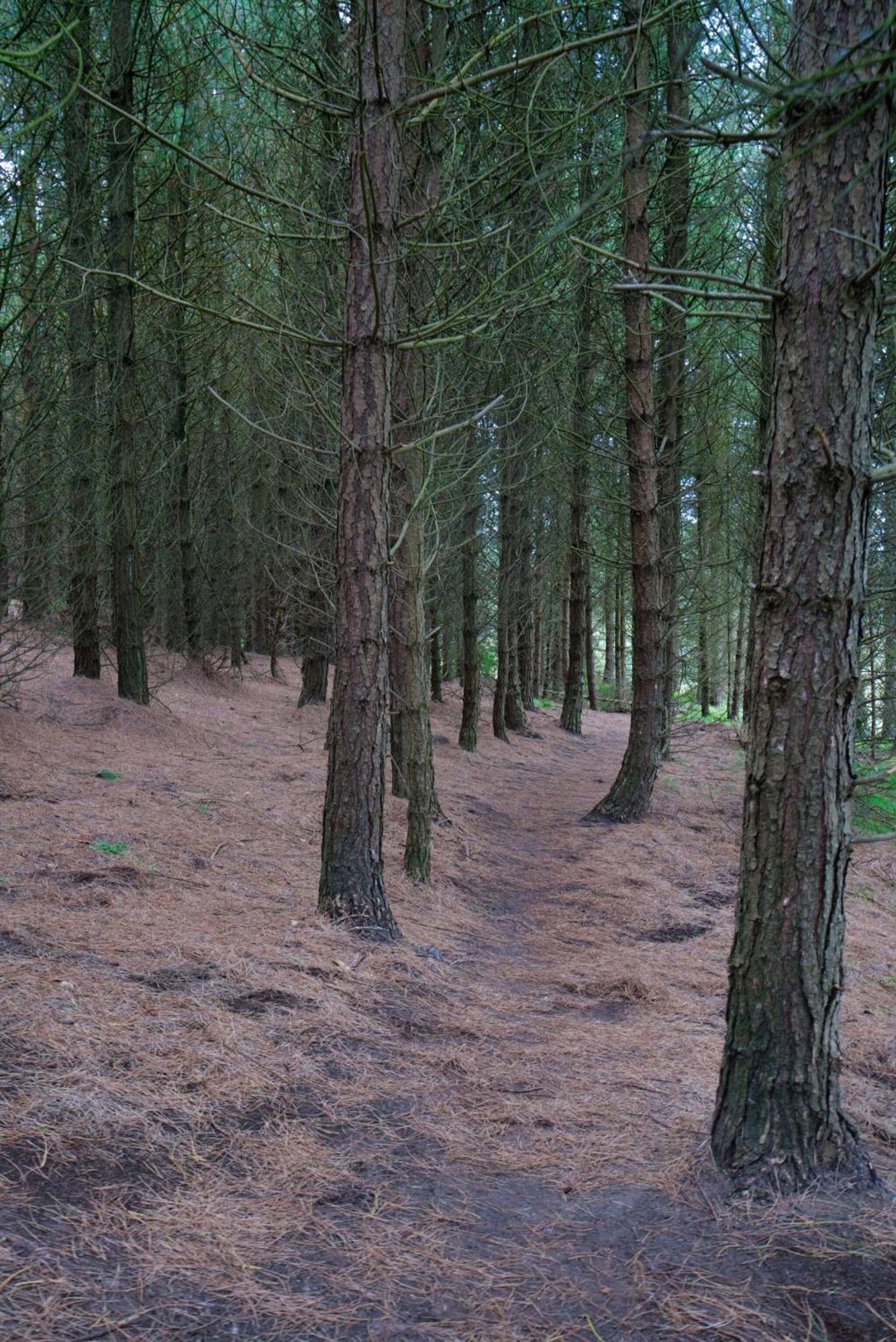 Villa Doorly Park à Sligo Extérieur photo